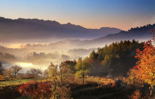 秋色赋 镜头下的诗意与哲思
