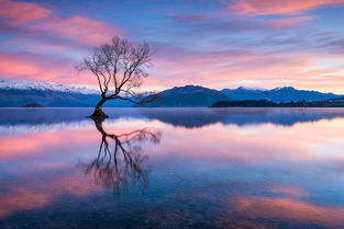 镜头背后的艺术 摄像技术的演变与未来