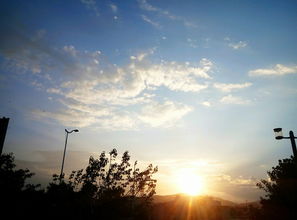 捕捉光影的艺术 摄影的魅力与技巧